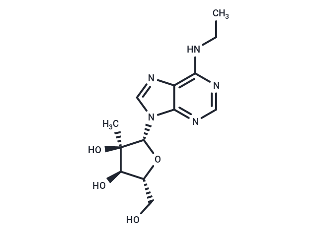 N6-Ethyl-2’-C-methyladenosine