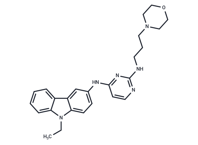 EHop-016