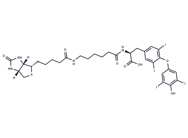 Biotin-hexanamide-(L-Thyroxine)