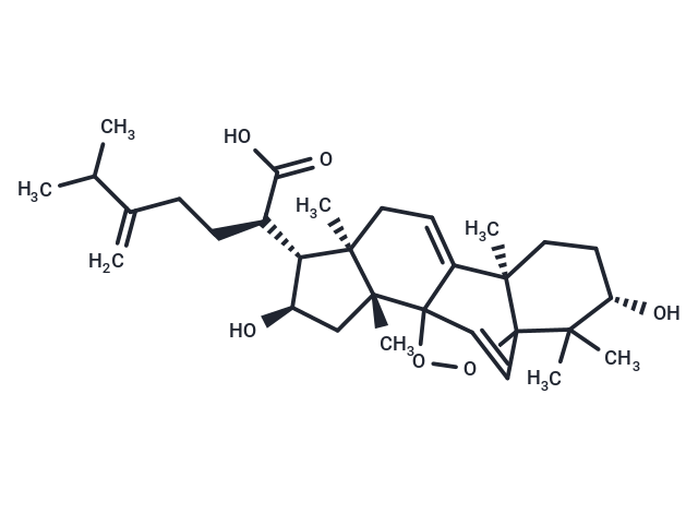 Peroxydehydrotumulosic acid