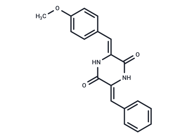 XR 334