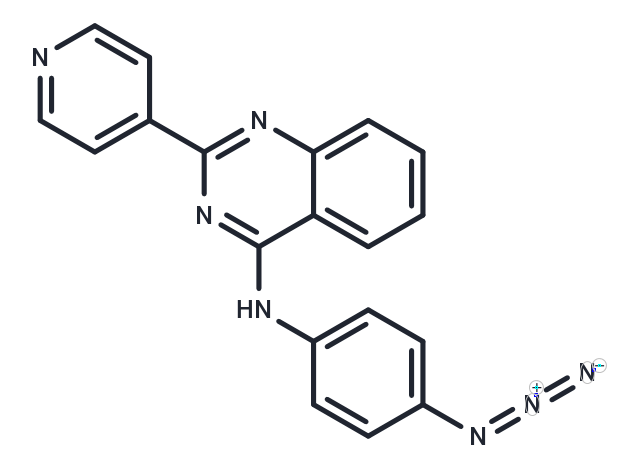 33-BCRP Inhibitor