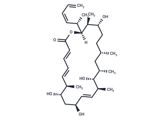 Dictyostatin