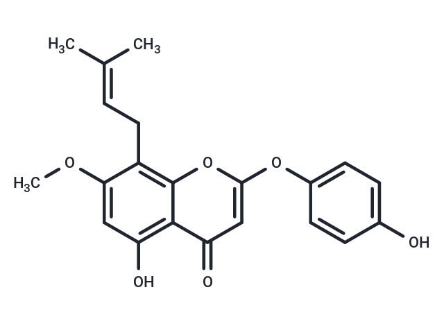 7-O-Methylepimedonin G