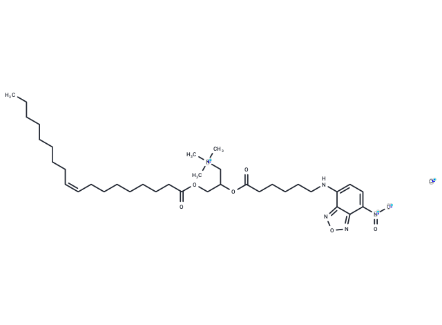 Fluorescent DOTAP