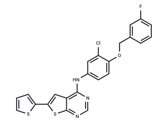 EGFR/ErbB-2 inhibitor-1