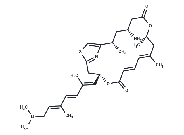 Pateamine A