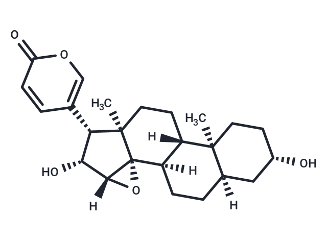 Desacetylcinobufagin
