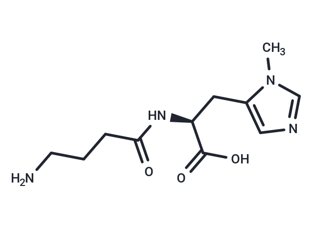 Homoanserine Nitrate