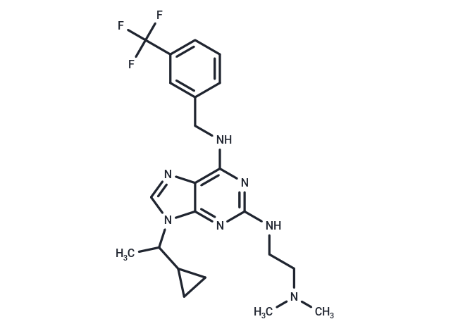 NCC007