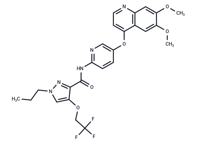 Adrixetinib