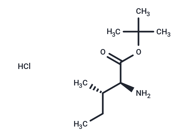 H-Ile-OtBu.HCl