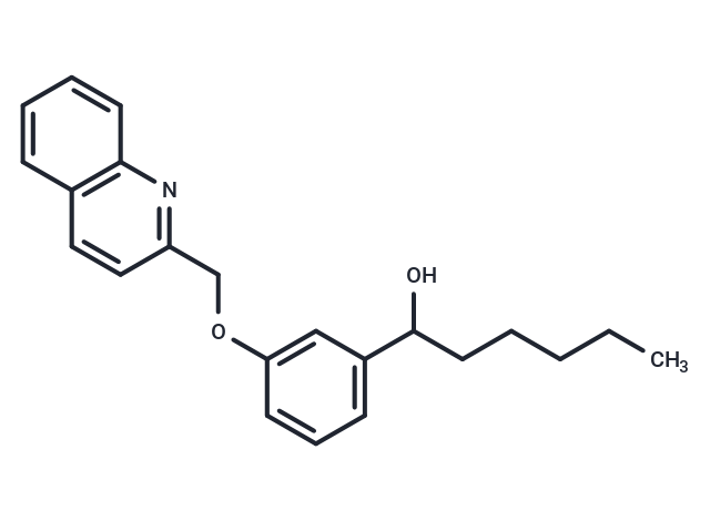 REV 5901