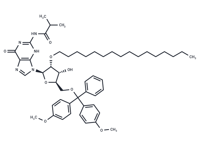 N2-iBu-5’-O-DMTr-2’-O-hexadecanyl guanosine