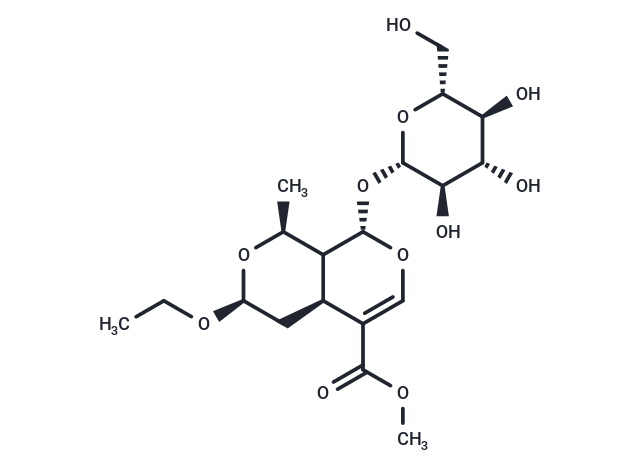 7α-O-Ethylmorroniside