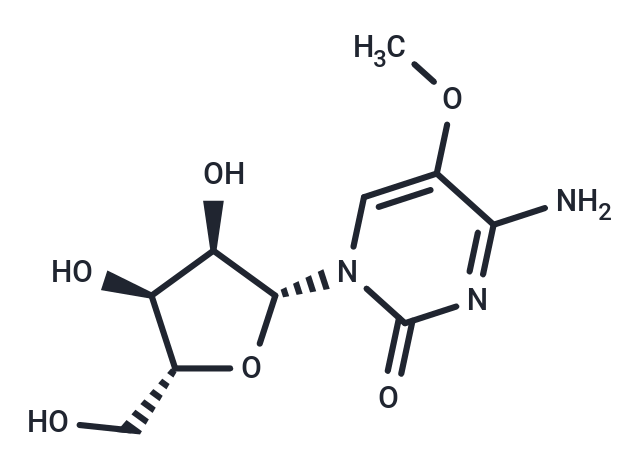 5-Methoxy  cytidine