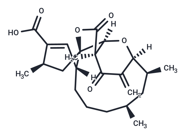 Okilactomycin