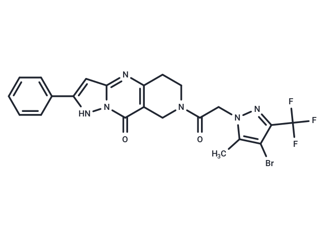 PAT1inh-B01