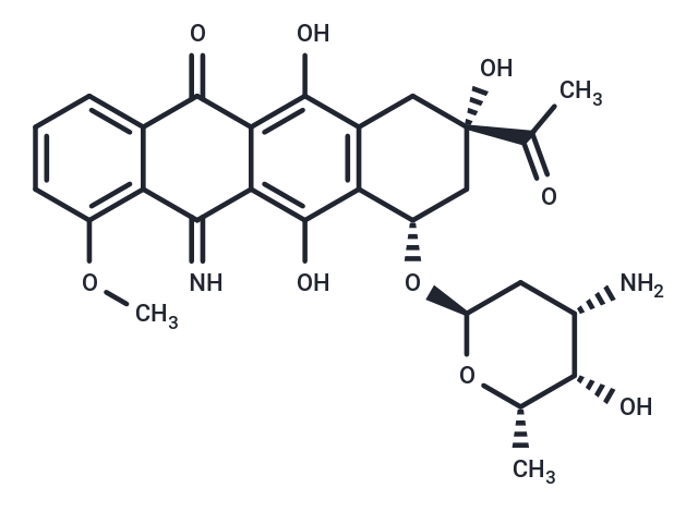 5-Iminodaunorubicin