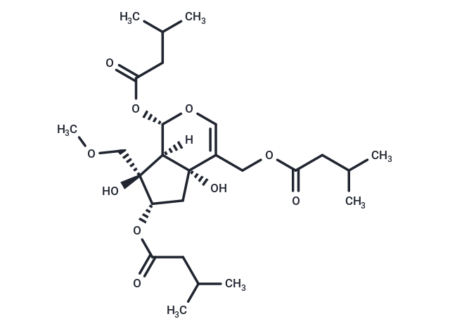 Heterophdoid A