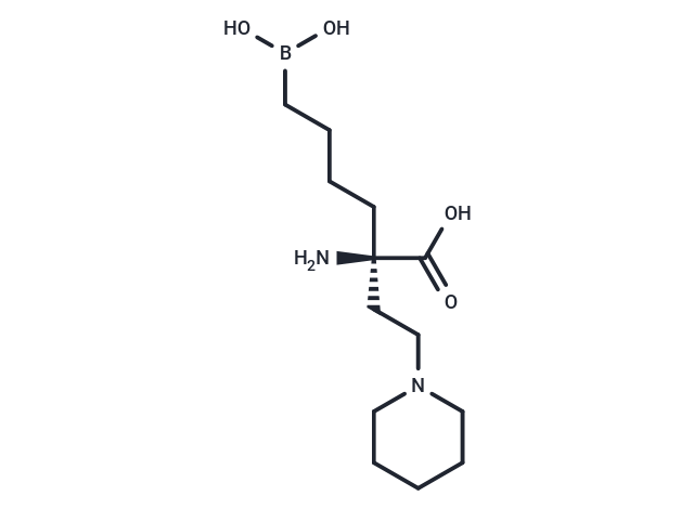 Arginase inhibitor 1