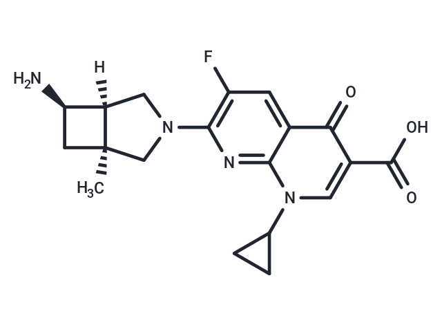 ecenofloxacin