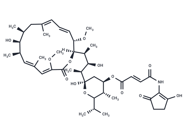 Bafilomycin B1