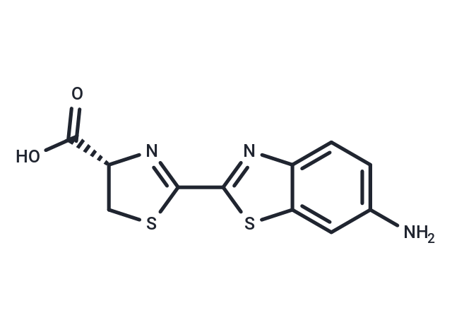 Aminoluciferin