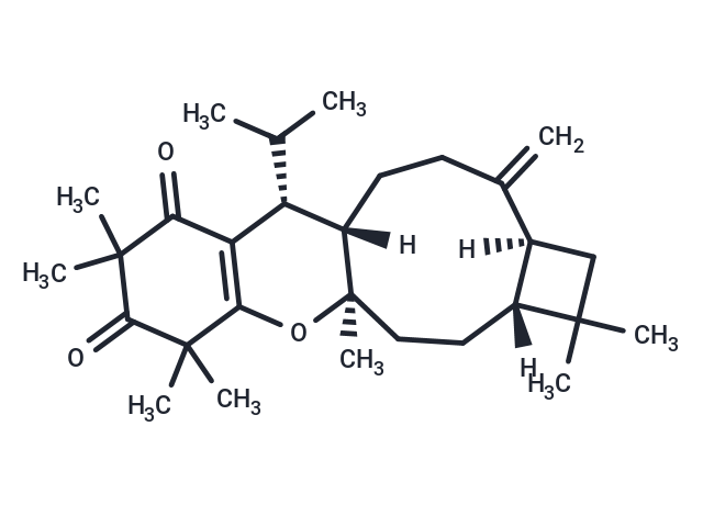 Myrtucommulone K