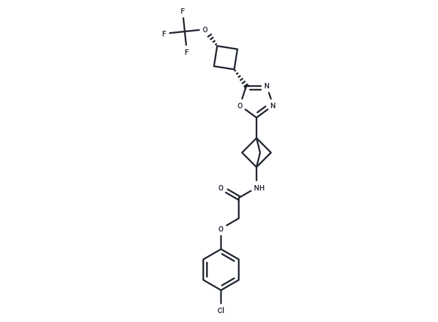 DNL343