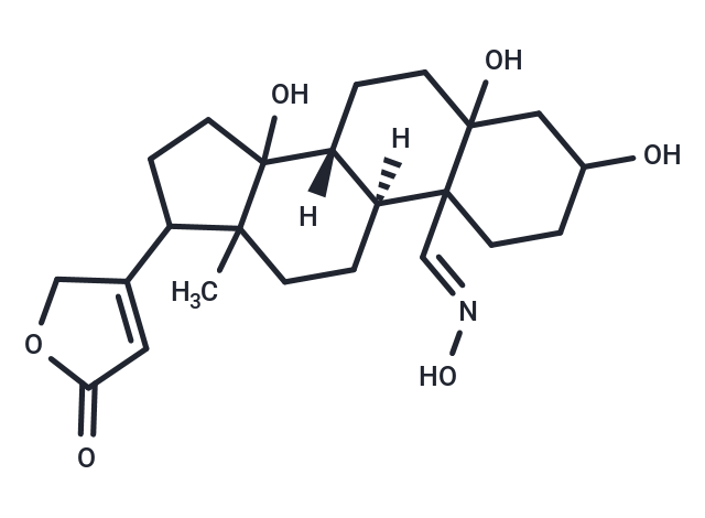 Compound 0449-0116