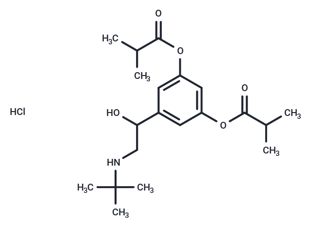 dl-Ibuterol hydrochloride