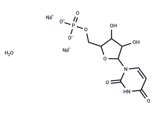 Uridine-5'-monophosphate (sodium salt hydrate)