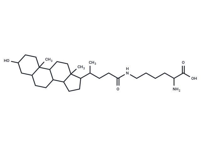 N-epsilon-Lithocholyllysine