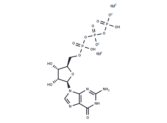 Guanosine-5'-triphosphate disodium salt