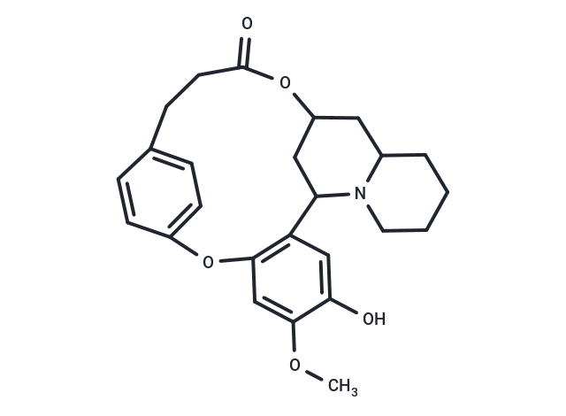 4-Desmethyldecaline