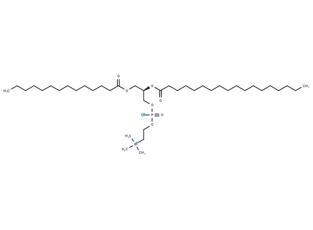 1-Myristoyl-2-stearoyl-sn-glycero-3-phosphocholine