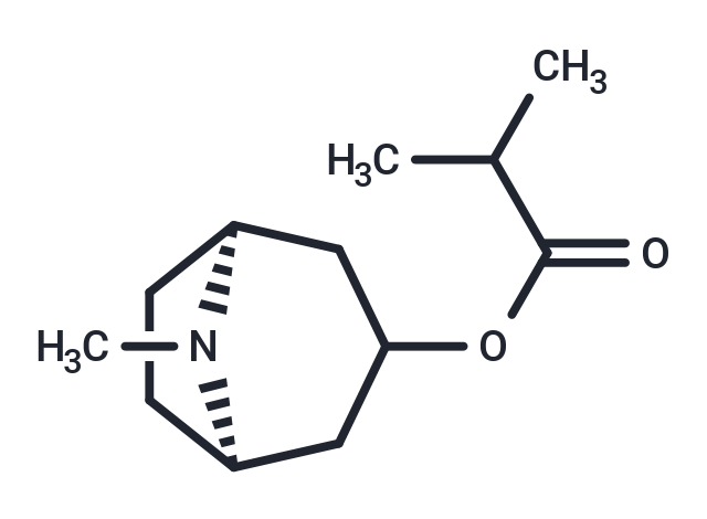 Tropine isobutyrate
