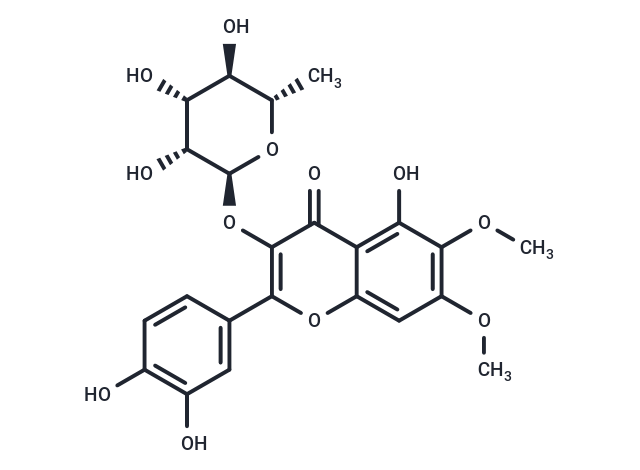 Eupatolin