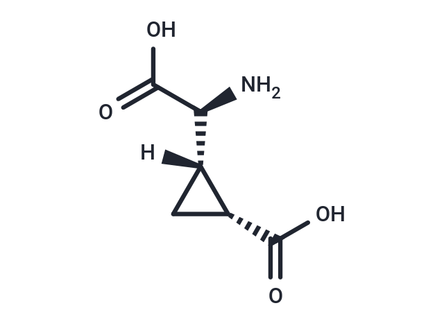 L-CCG-lll