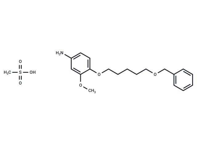 m-Anisidine, 4-((5-(benzyloxy)pentyl)oxy)-, methanesulfonate