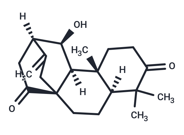 ent-11β-Hydroxyatis-16-ene-3,14-dione