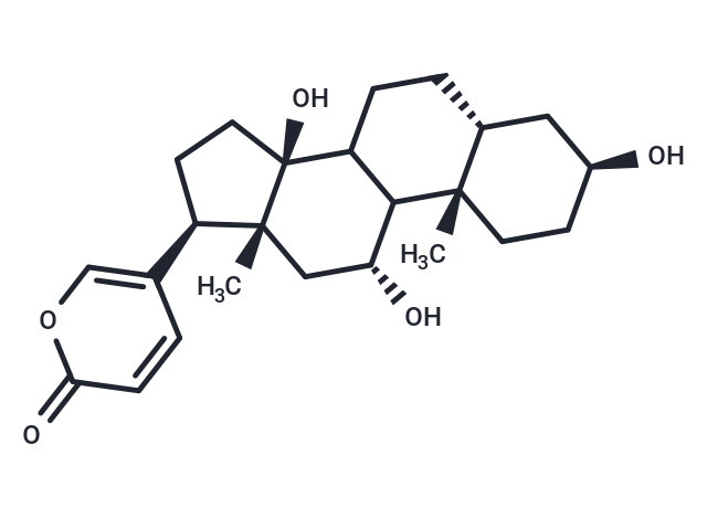 Gamabufotalin (Gamabufagin; Gamabufogenin)