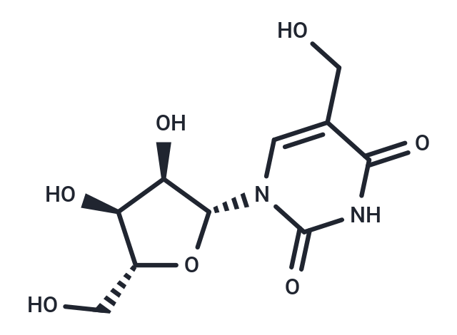 5-Hydroxymethyl  uridine