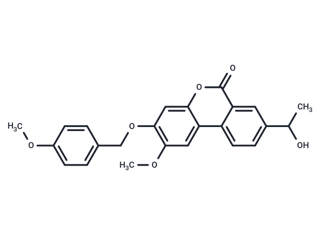 Palomid 529