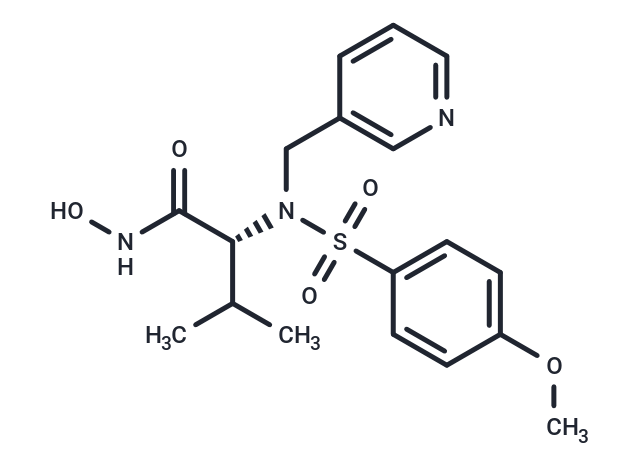 CGS-27023A HCl