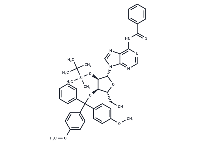 N6-Benzoyl-2'-O-tert-butyldimethylsilyl-3'-O-DMT-adenosine