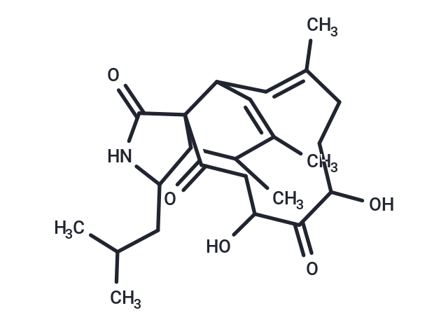 Aspochalasin T