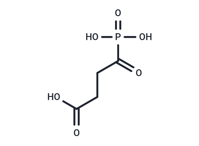 Succinyl phosphonate