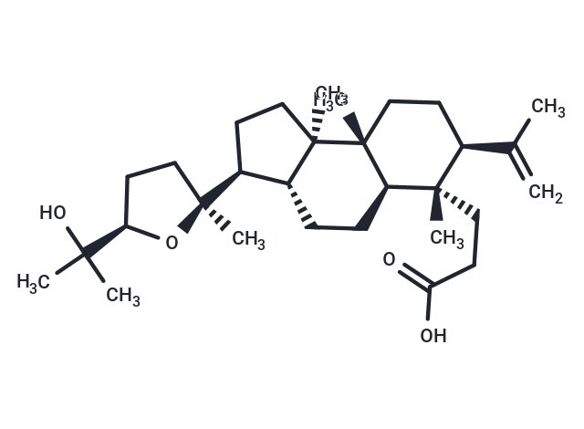 Shoreic acid